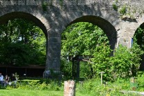Historische Mauern bilden die Kulisse für die Flugvorführungen der Falknerei. (Bild: Natalia Siedler)