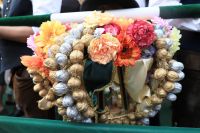 Neustifter Kirtag 2025 in Wien